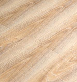 313奧蘭多樂(lè)園